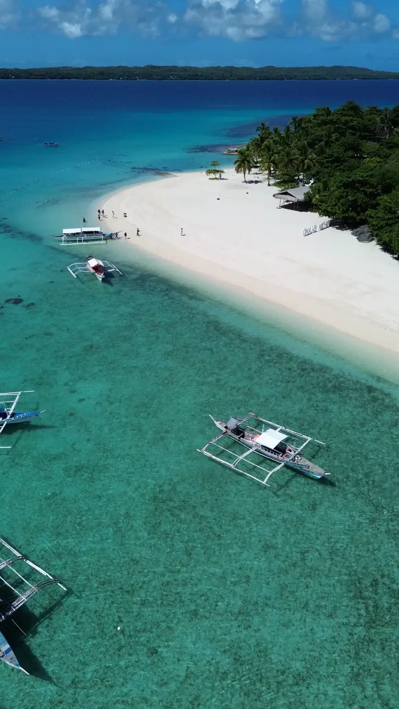 Drone view of bangkas on turquoise water beside Virgin Island's white beach and palm trees, off Bantayan, Cebu