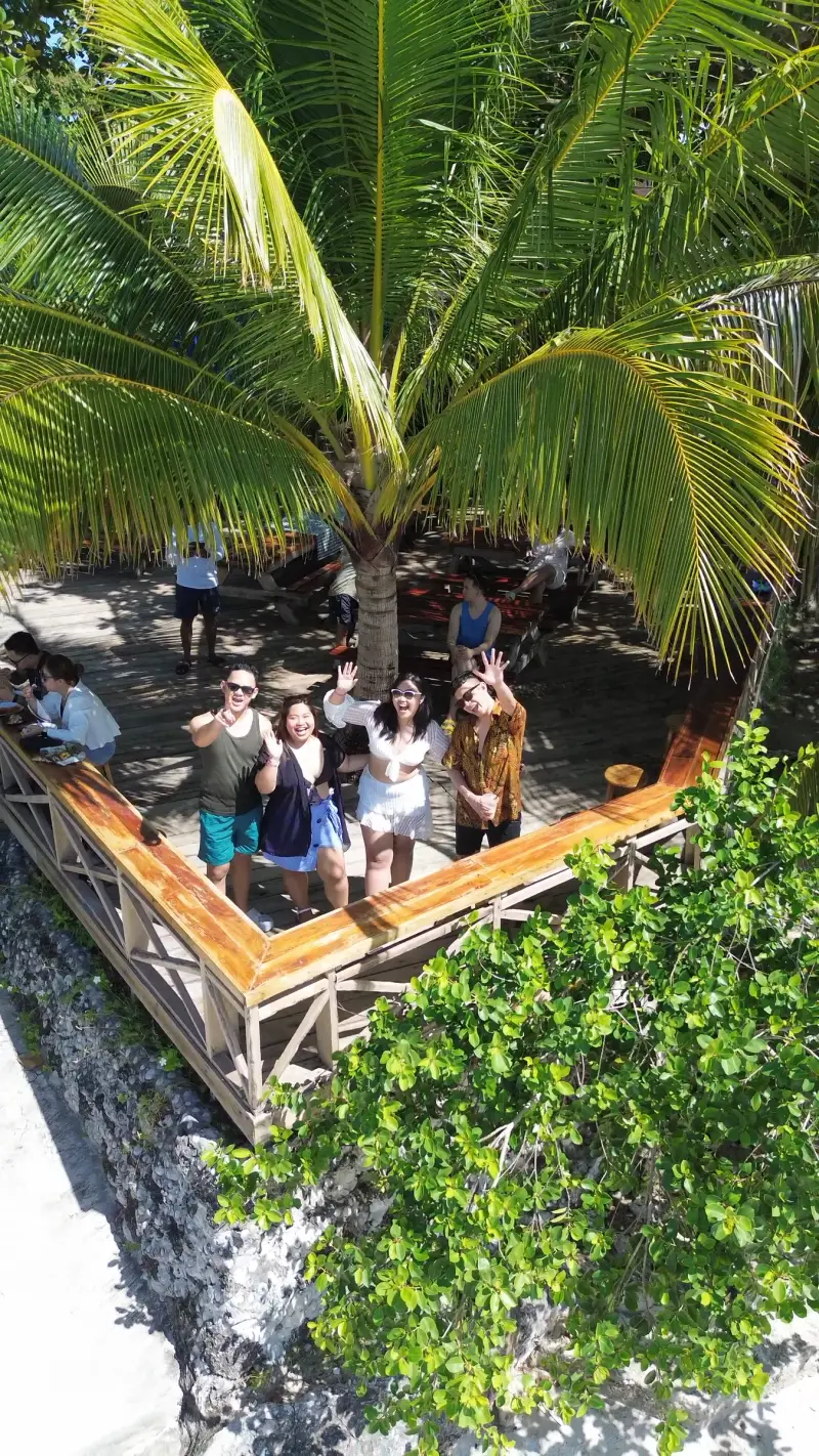 Guests waving up at the drone from a wooden deck under a palm on Virgin Island
